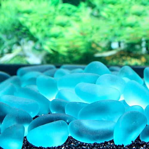 Blue Glow in The Dark Garden Pebbles/Stones (800 Stones Per Pack) - Glow-Paradise