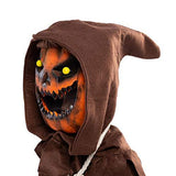 Scary Scarecrow Pumpkin Bobble Head Costume w/ Pumpkin Halloween Mask for Kids Role-Playing (3T(3-4yr)) - Glow-Paradise