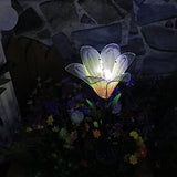 Roaming Light 2 Pack Solar Flowers，Solar Lights Outdoor Garden Flowers, Solar Garden Lights Waterproof for Patio Yard Walkway Pathway Lawn Decorations (Lily) - Glow-Paradise