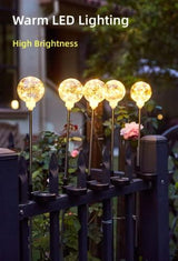 Solar Garden Lights, 2 in One Pack Warm LED Globe Lights, Long Lasting Battery, IP65 Waterproof for Garden Yard Lawn Landscape Decorative - Glow-Paradise