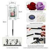 ANGMLN Rose in Glass Jar Solar Powered - 2 Pack Enchanted Rose Gift for Her Light Up Rose in Glass Lantern, Beauty and The Beast Rose Forever Flower for Mother’s Day Valentine's Day Wedding Halloween - Glow-Paradise