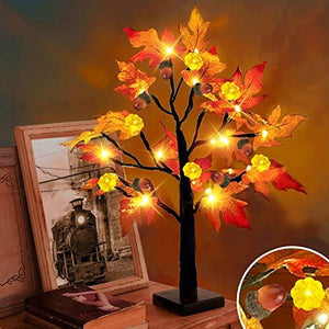 TURNMEON 22 Inch Prelit Tabletop Fall Maple Tree with Timer 24 Led Pumpkin Lights 6 Acorn Battery Operated Artificial Maple Leaves Tree Decoration Halloween Autumn Thanksgiving for Indoor Home Decor - Glow-Paradise