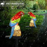 Solar Garden Stake Lights - 2 Pack Parrot Solar Lights Outdoor Garden,IP67 Waterproof Warm White LED Solar Powered Garden Lights for Walkway Yard Backyard Lawn Landscape Decorative(Gules) - Glow-Paradise
