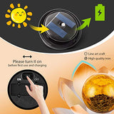 AIINY Garden Solar Light Outdoor(2Pack) , Amber Crackle Globe Glass Lotus Decoration , Waterproof Orange Metal LED Flower Lights for Patio,Lawn,Walkway,Tabletop,Ground - Glow-Paradise