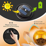 Huaxu Solar Powered Garden Lights , Outdoor Decorative Lotus Light , Art Cracked Glass Ball Metal Waterproof Solar Garden Light for Pathway, Lawn, Patio, Yard - Glow-Paradise
