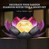 Solar Light Outdoor , Metal Glass Decorative Waterproof Garden Light LED Solar Flower Lights for Patio , Lawn,Walkway,Tabletop,Ground (Purple) - Glow-Paradise