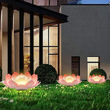 Solar Light Outdoor , Metal Glass Decorative Waterproof Garden Light LED Solar Flower Lights for Patio , Lawn,Walkway,Tabletop,Ground - Glow-Paradise