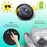 AIINY Garden Solar Light Outdoor(2Pack) ,Crackle Globe Glass Lotus Decoration , Waterproof Metal LED Flower Lights for Patio,Lawn,Walkway,Tabletop,Ground - Glow-Paradise