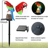 Solar Garden Stake Lights - 2 Pack Parrot Solar Lights Outdoor Garden,IP67 Waterproof Warm White LED Solar Powered Garden Lights for Walkway Yard Backyard Lawn Landscape Decorative(Gules) - Glow-Paradise