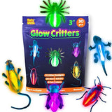 PartySticks Glow Critters 30pk Glow in The Dark Bug Toys and Glow Sticks - 3 Inch Fake Bugs Party Favors, Glow in The Dark Party Decorations - 10 Light Up Fake Toy Bugs, 20 Mini Glow Sticks - Glow-Paradise