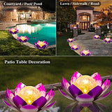 Solar Light Outdoor(2Pack), Art Crackle Globe Glass Lotus Decoration, Solar LED Waterproof Purple Metal Flower Lights for Patio,Lawn,Walkway,Tabletop - Glow-Paradise