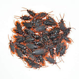 UNIIDECO 50 Pieces Prank Fake Roaches, Look Real Plastic Trick Joke Toys , Scary Insects Realistic Bugs Gag Gifts, Novelty Cockroach for Halloween Party (50 Pieces) - Glow-Paradise