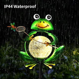 Garden Solar Lights Outdoor Decorations, Waterproof Frog Crackle Glass Globe Metal Garden Stake Lights, Solar Powered Warm White LED Light for Halloween Christmas Pathway Lawn Patio Yard Decor - Glow-Paradise