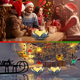 AIINY Garden Solar Light Outdoor(2Pack) ,Crackle Globe Glass Lotus Decoration , Waterproof Metal LED Flower Lights for Patio,Lawn,Walkway,Tabletop,Ground - Glow-Paradise