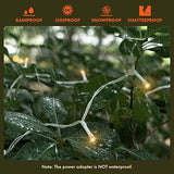 Twinkle Star 300 LED Window Curtain String Light for Christmas Wedding Party Home Garden Bedroom Outdoor Indoor Wall Decorations (Warm White) - Glow-Paradise