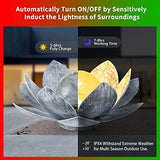 AIINY Garden Solar Light Outdoor(2Pack) ,Crackle Globe Glass Lotus Decoration , Waterproof Metal LED Flower Lights for Patio,Lawn,Walkway,Tabletop,Ground - Glow-Paradise