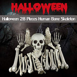28 Pieces Skeleton Bones and Skull for Halloween Decor or Spooky Graveyard Ground Decoration - Glow-Paradise