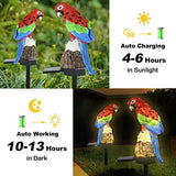 Solar Garden Stake Lights - 2 Pack Parrot Solar Lights Outdoor Garden,IP67 Waterproof Warm White LED Solar Powered Garden Lights for Walkway Yard Backyard Lawn Landscape Decorative(Gules) - Glow-Paradise
