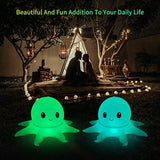 SEMANJLL Solar Powered Octopus Floating Pool Light, 20 inch 16 RGB Colors Changing LED Glow Ball Inflatable Octopus with Cute Expression(2 Pack) - Glow-Paradise