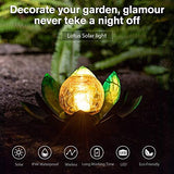 Huaxu Solar Light Outdoor Metal Glass Decorative Waterproof Garden Light LED Lotus Flower Table Lamp - Glow-Paradise