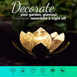 AIINY Garden Solar Light Outdoor(2Pack) ,Crackle Globe Glass Lotus Decoration , Waterproof Metal LED Flower Lights for Patio,Lawn,Walkway,Tabletop,Ground - Glow-Paradise