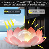 Solar Light Outdoor , Metal Glass Decorative Waterproof Garden Light LED Solar Flower Lights for Patio , Lawn,Walkway,Tabletop,Ground - Glow-Paradise