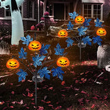 Brwoynn 30 Inches Solar Halloween Yard Decorations, Outdoor LED Solar Powered Pumpkin Halloween Pathway Lights, Metal Garden Stakes Lawn Yard Ornament, Set of 2 - Glow-Paradise