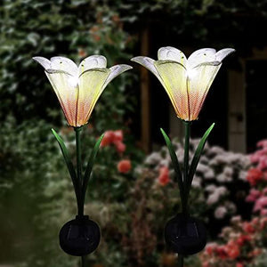 Roaming Light 2 Pack Solar Flowers，Solar Lights Outdoor Garden Flowers, Solar Garden Lights Waterproof for Patio Yard Walkway Pathway Lawn Decorations (Lily) - Glow-Paradise