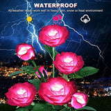 Solar Lights Outdoor 7 Rose Flowers Solar Garden Lights Garden Stake Lights Path Decorative Rose Lights for Patio Yard Pathway Landscape Enlarged Solar Panel (Pink) - Glow-Paradise