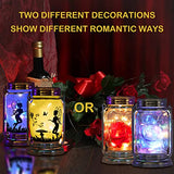 ANGMLN Rose in Glass Jar Solar Powered - 2 Pack Enchanted Rose Gift for Her Light Up Rose in Glass Lantern, Beauty and The Beast Rose Forever Flower for Mother’s Day Valentine's Day Wedding Halloween - Glow-Paradise