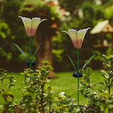 Roaming Light 2 Pack Solar Flowers，Solar Lights Outdoor Garden Flowers, Solar Garden Lights Waterproof for Patio Yard Walkway Pathway Lawn Decorations (Lily) - Glow-Paradise