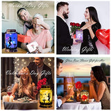 ANGMLN Rose in Glass Jar Solar Powered - 2 Pack Enchanted Rose Gift for Her Light Up Rose in Glass Lantern, Beauty and The Beast Rose Forever Flower for Mother’s Day Valentine's Day Wedding Halloween - Glow-Paradise