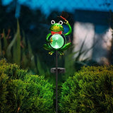 Garden Solar Lights Outdoor Decorations, Waterproof Frog Crackle Glass Globe Metal Garden Stake Lights, Solar Powered LED Green Light for Halloween Christmas Pathway Lawn Patio Yard Decor(Hat) - Glow-Paradise