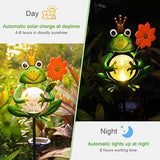 Garden Solar Lights Outdoor Decorations, Waterproof Frog Crackle Glass Globe Metal Garden Stake Lights, Solar Powered Warm White LED Light for Halloween Christmas Pathway Lawn Patio Yard Decor(Flower) - Glow-Paradise