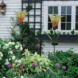 Roaming Light 2 Pack Solar Flowers，Solar Lights Outdoor Garden Flowers, Solar Garden Lights Waterproof for Patio Yard Walkway Pathway Lawn Decorations (Lily) - Glow-Paradise