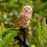 Solar Garden Stake Lights - 2 Pack Owl Solar Lights Outdoor Garden,IP67 Waterproof Warm White LED Solar Stake Lights for Garden, Patio, Yard, Lawn, Walkway Decoration(Brown) - Glow-Paradise