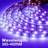 Onforu 32.8ft LED Black Light Strip Kit, 600 Units Lamp Beads, 12V Flexible Blacklight Fixtures, 10m LED Ribbon, Non-Waterproof Black Lights for Glow Party, Indoor Birthday Party, Body Paint,Halloween - Glow-Paradise