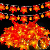 3 Pack Fall Garland with Pumpkin Lights & Enlarged Maple Fall String Lights Halloween Pumpkins Lights, 30Ft 60LED Waterproof Battery Operated Fall Decorations Home Indoor Outdoor Thanksgiving Decor - Glow-Paradise