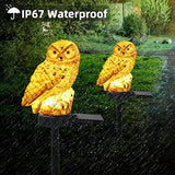 Solar Garden Stake Lights - 2 Pack Owl Solar Lights Outdoor Garden,IP67 Waterproof Warm White LED Solar Stake Lights for Garden, Patio, Yard, Lawn, Walkway Decoration(Brown) - Glow-Paradise