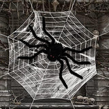 Outdoor Halloween Decorations Spider Web 5 FT Giant Spider + Diameter of 11.8 FT Circular Spider Web + 60g Spider Web + 6 Tiny Spiders - Glow-Paradise