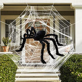 Outdoor Halloween Decorations Spider Web 5 FT Giant Spider + Diameter of 11.8 FT Circular Spider Web + 60g Spider Web + 6 Tiny Spiders - Glow-Paradise