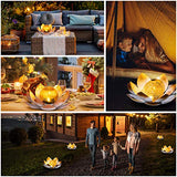 AIINY Garden Solar Light Outdoor(2Pack) , Amber Crackle Globe Glass Lotus Decoration , Waterproof Orange Metal LED Flower Lights for Patio,Lawn,Walkway,Tabletop,Ground - Glow-Paradise