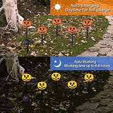 Halloween Pumpkin Stake Lights Set of 5, Solar Lighted 3D Pumpkins Outdoor Waterproof for Garden, Pathway and Yard Decoration - Glow-Paradise