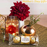 ANGMLN Rose in Glass Jar Solar Powered - 2 Pack Enchanted Rose Gift for Her Light Up Rose in Glass Lantern, Beauty and The Beast Rose Forever Flower for Mother’s Day Valentine's Day Wedding Halloween - Glow-Paradise