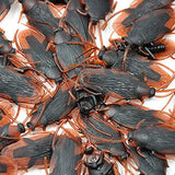 UNIIDECO 50 Pieces Prank Fake Roaches, Look Real Plastic Trick Joke Toys , Scary Insects Realistic Bugs Gag Gifts, Novelty Cockroach for Halloween Party (50 Pieces) - Glow-Paradise