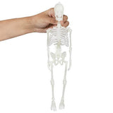 Glow Skeleton Bones (1 Skeleton Per Pack) - Glow-Paradise